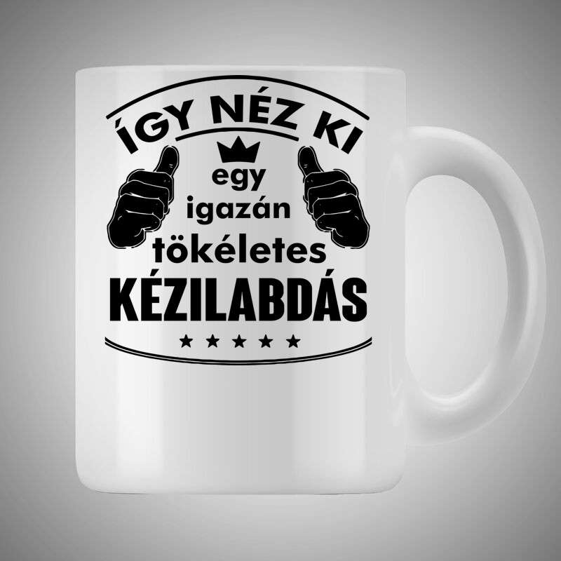 Bögre 3dl Így Néz Ki Egy Igazán Tökéletes KÉZILABDÁS