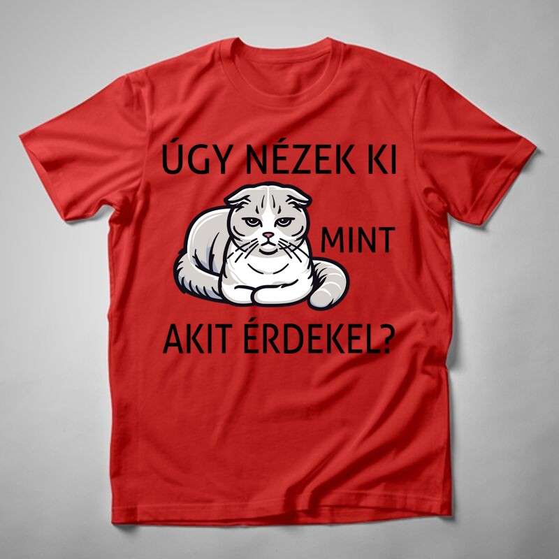 Férfi póló Úgy Nézek Ki Cica