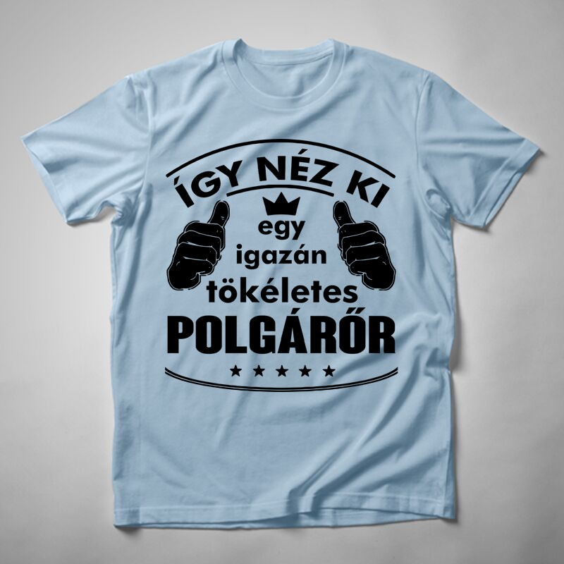 Férfi póló Így Néz Ki Egy Igazán Tökéletes POLGÁRŐR