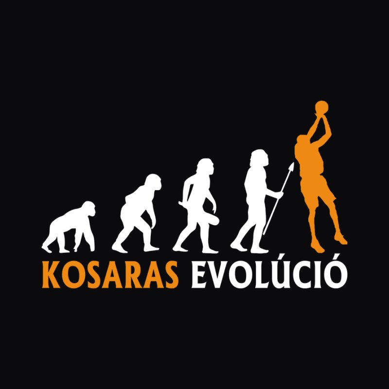 Kosaras Evolúció