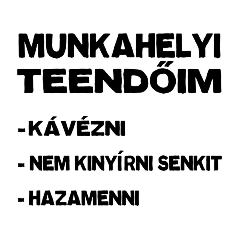 Munkahelyi Teendőim