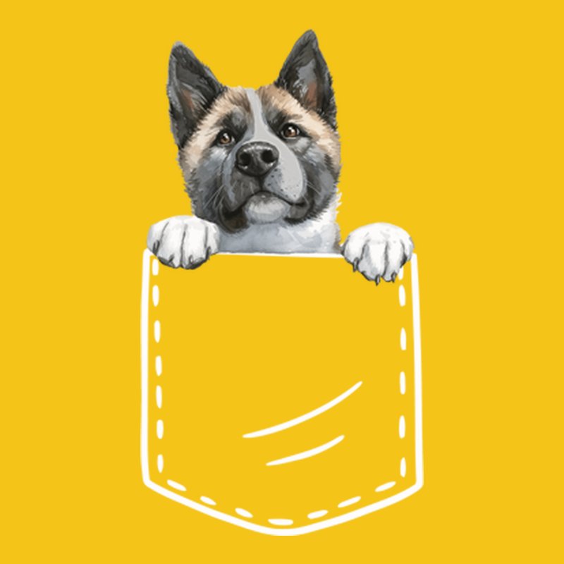 Amerikai Akita Zseb