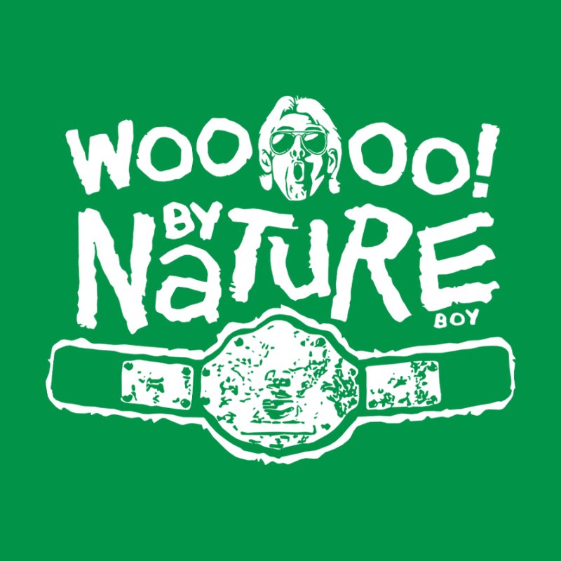 Ric Flair Nature Boy