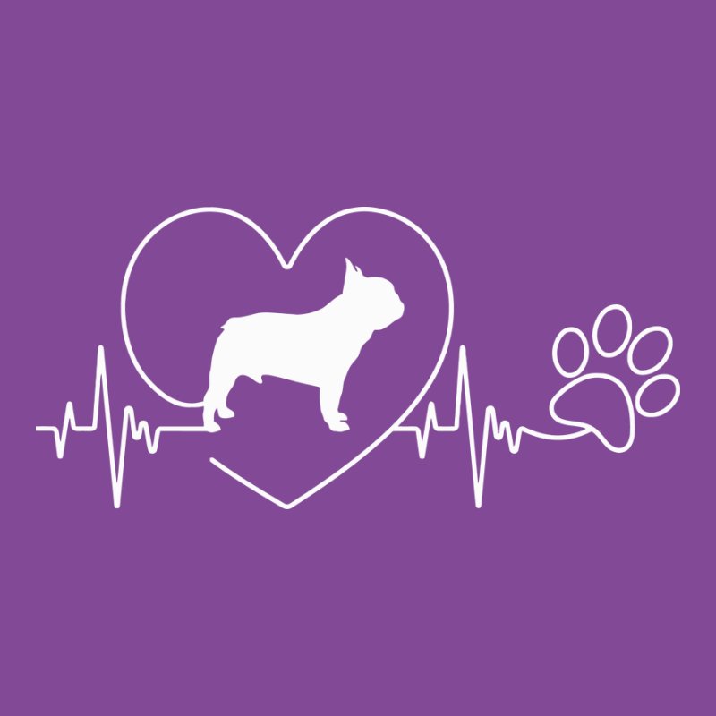 Francia Bulldog EKG