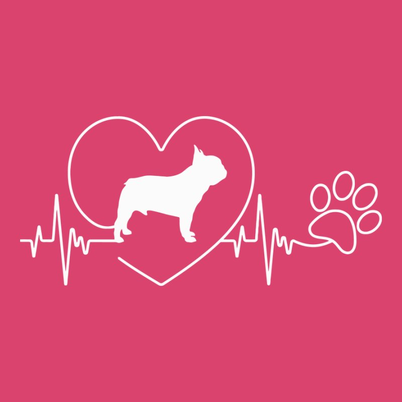 Francia Bulldog EKG