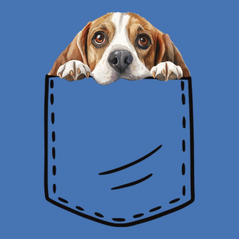Beagle Zseb 2.0