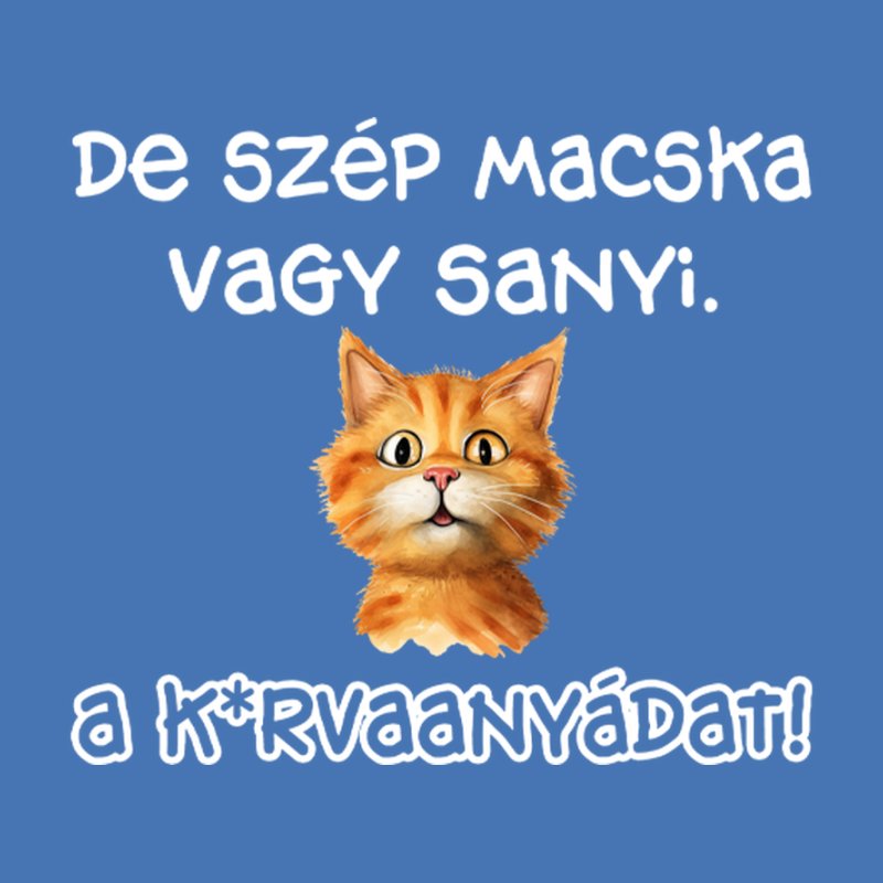 De Szép Macska Vagy Sanyi