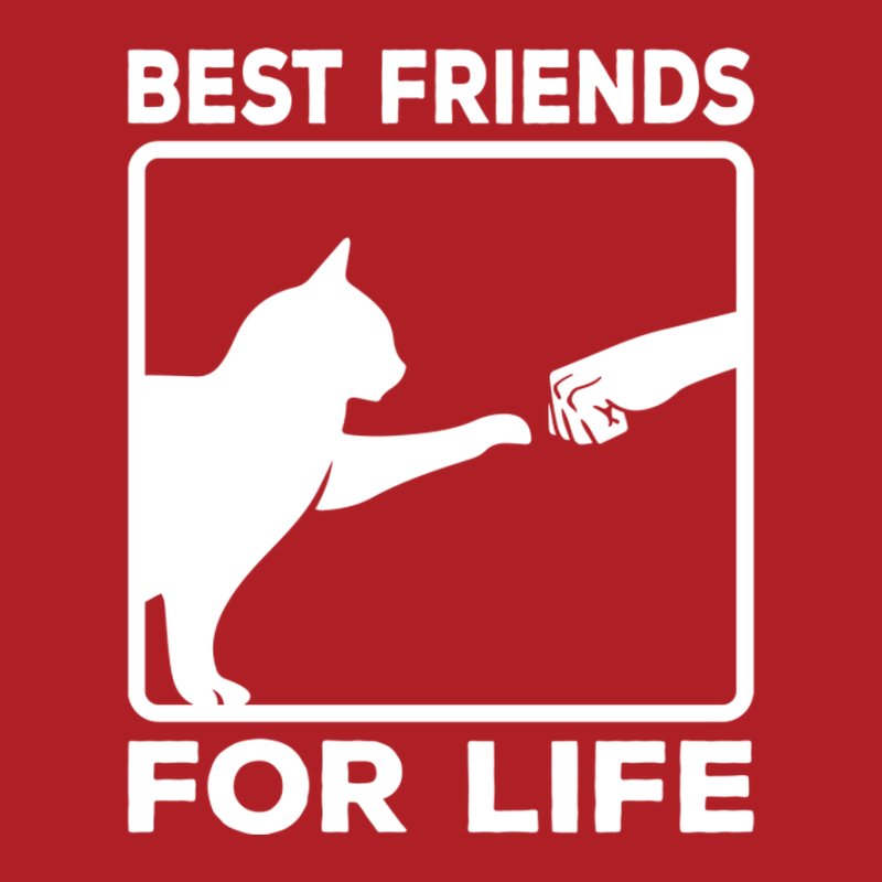 Best Friends For Life Cat
