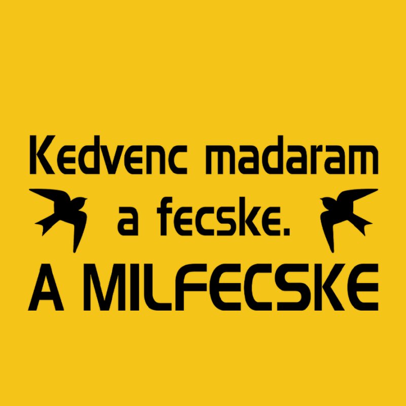 Kedvenc Madaram A Fecske