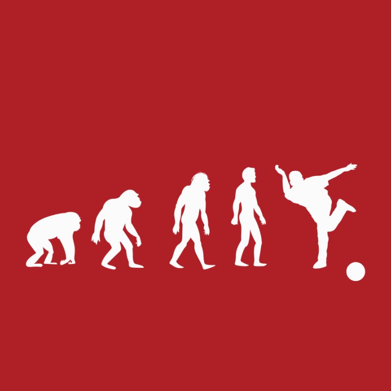 Bowling Evolúció