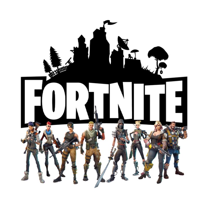 Fortnite Team
