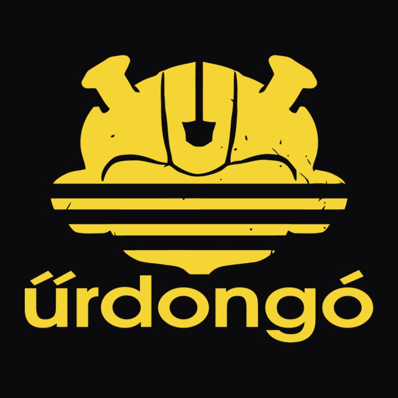 Űrdongó