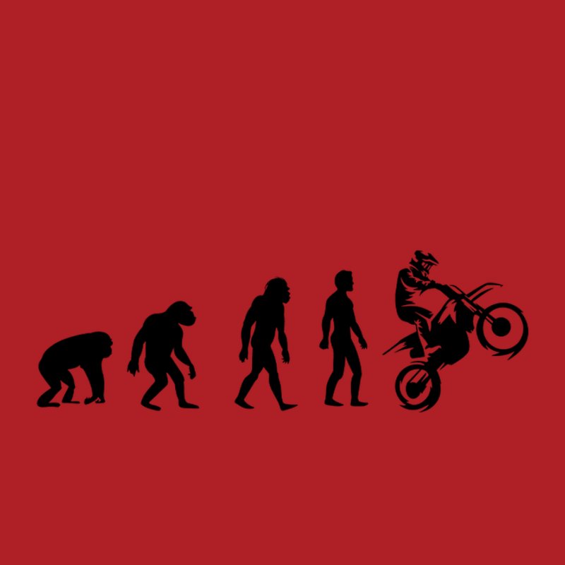 Motocross Evolúció