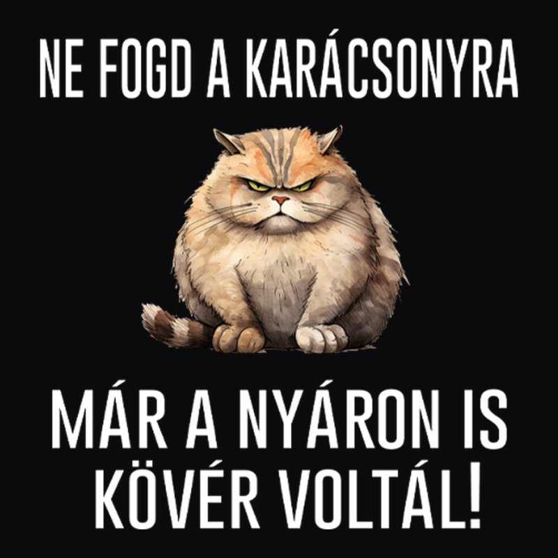 Ne Fogd A Karácsonyra Macska