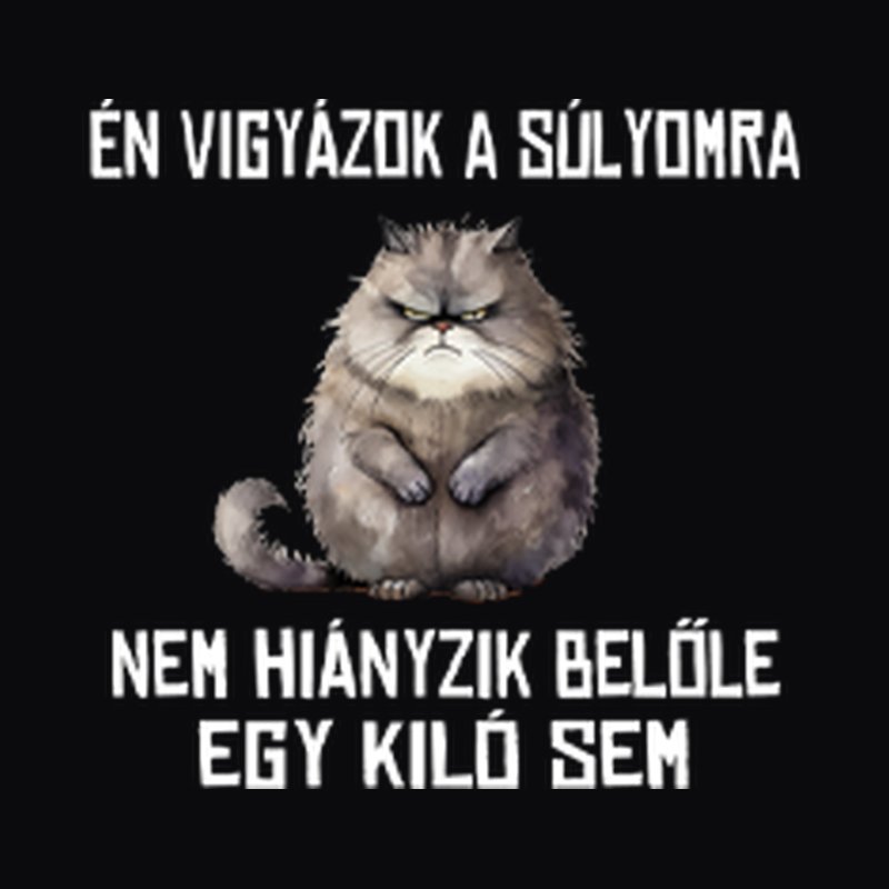 Én Vigyázok A Súlyomra MACSKA