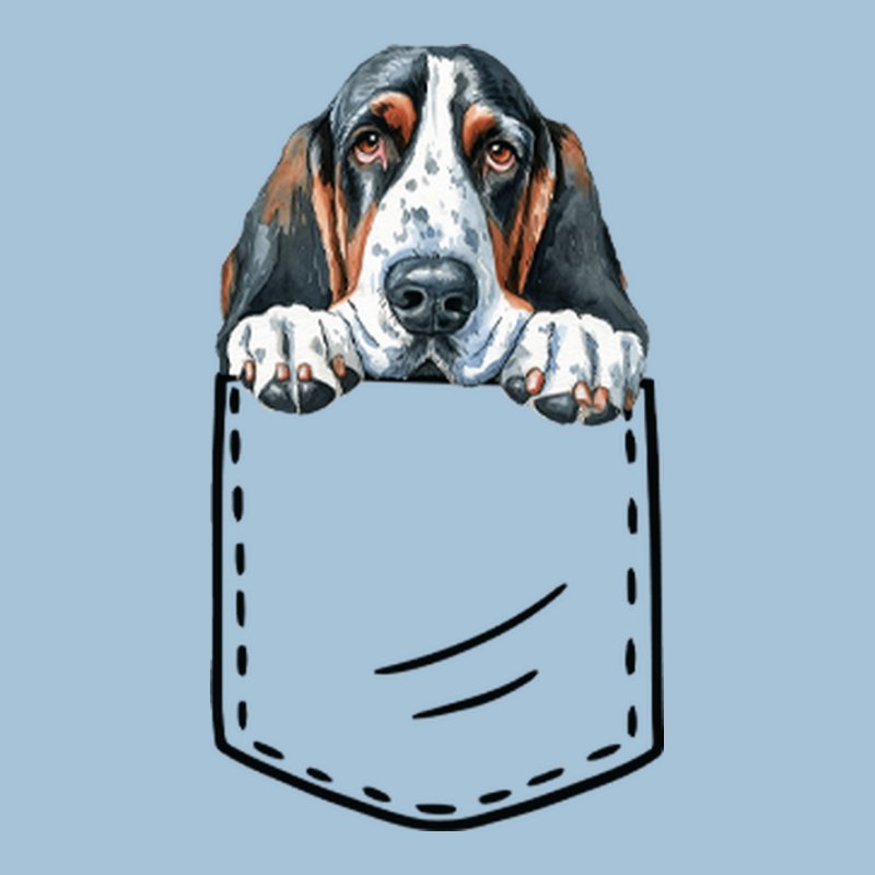 Basset Hound Zseb