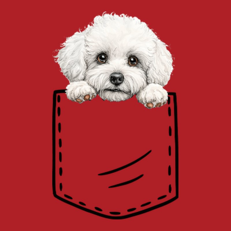 Bichon Frisé Zseb 2.0