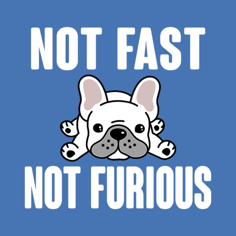 Not Fast Not Furious Francia Bulldog