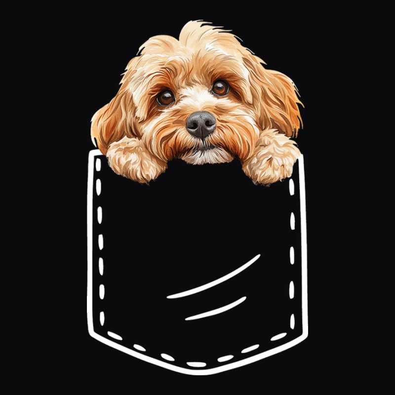 Cockapoo Zseb