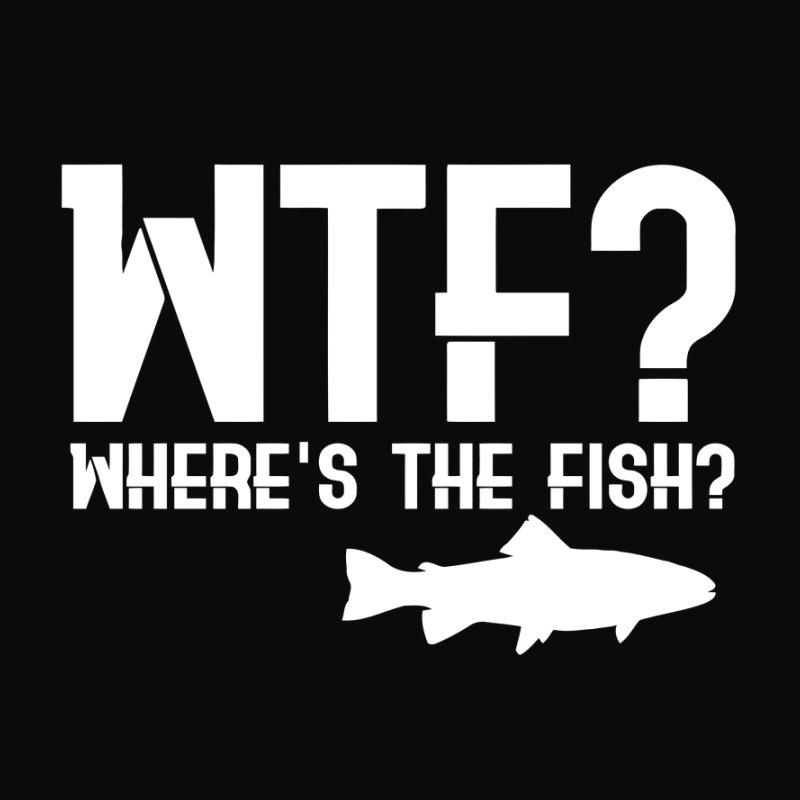 WTF ? Where's The Fish ?