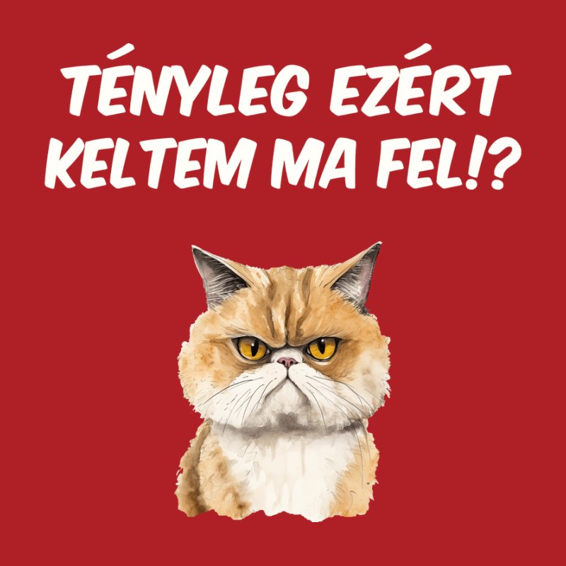 Tényleg Ezért Keltem Fel MACSKA