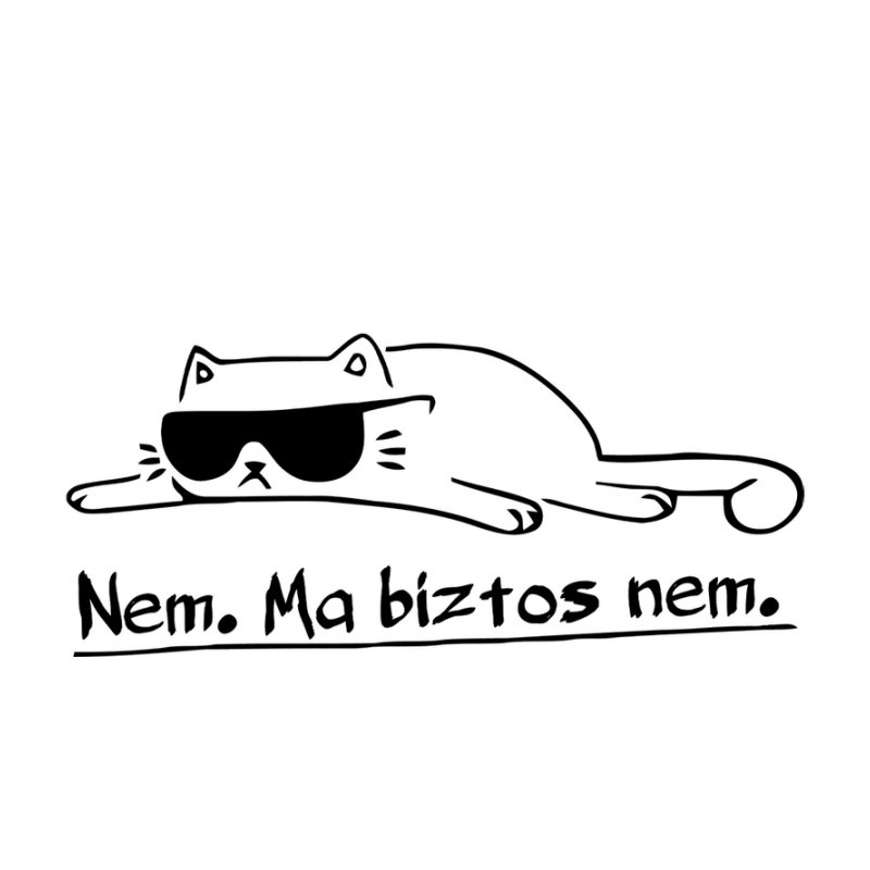Nem Ma Biztos Nem Cica