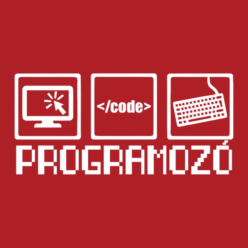Programozó