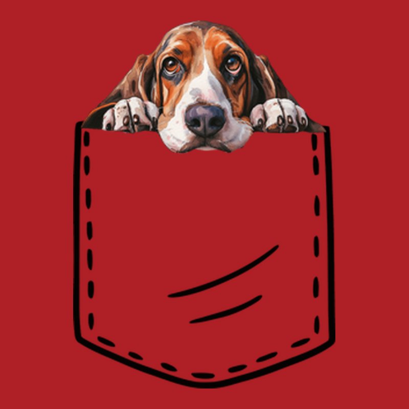 Basset Hound Zseb 2.0