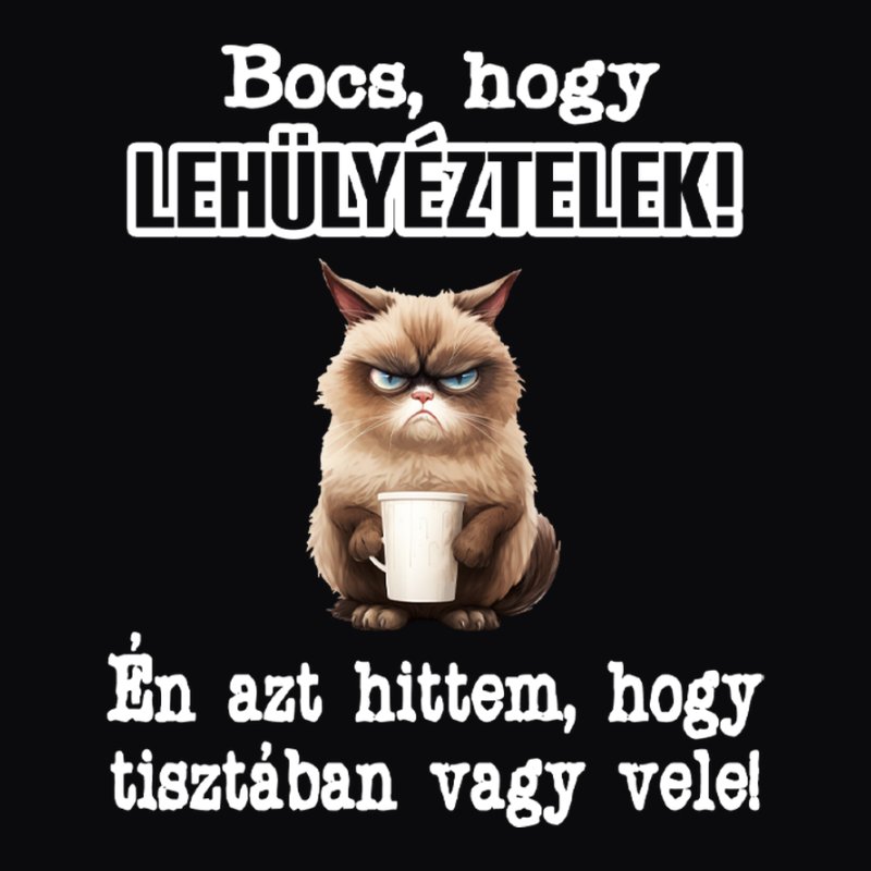 Bocs Hogy Lehülyéztelek Cica