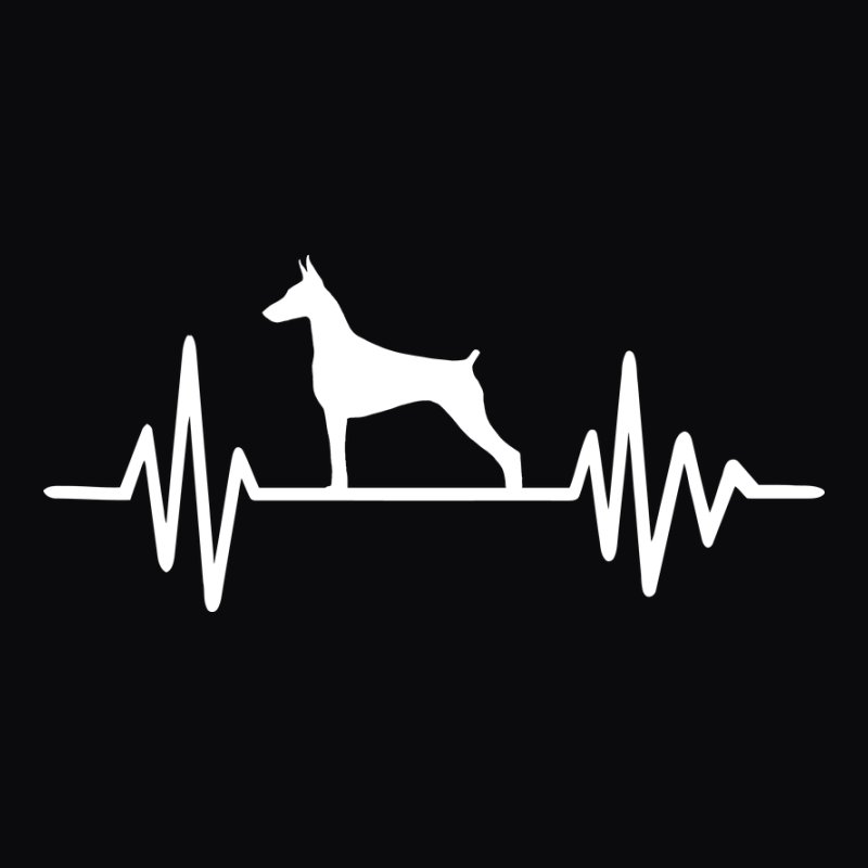 Dobermann EKG
