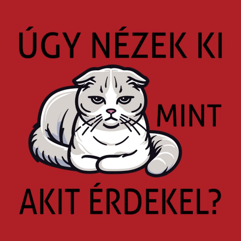 Úgy Nézek Ki Cica