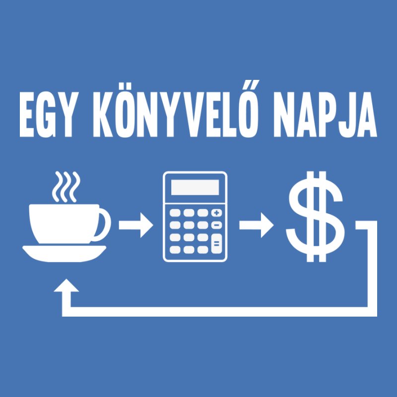 Egy Könyvelő Napja