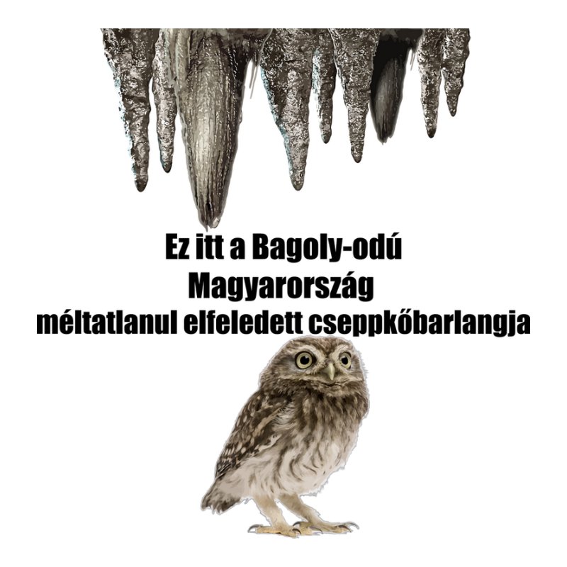 Bagoly Odú
