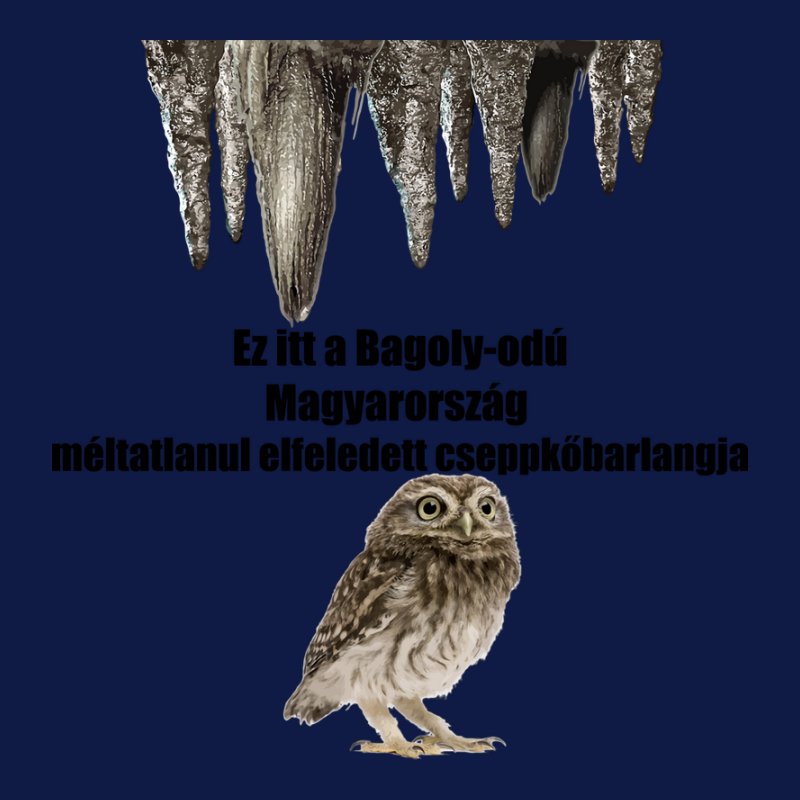 Bagoly Odú