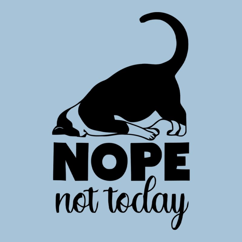 Nope Not Today Cat