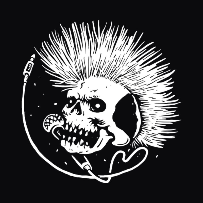 Punk Skull