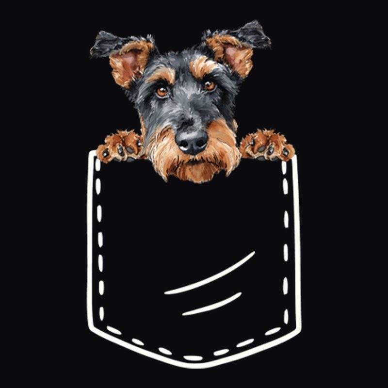 Airedale Terrier Zseb 2.0