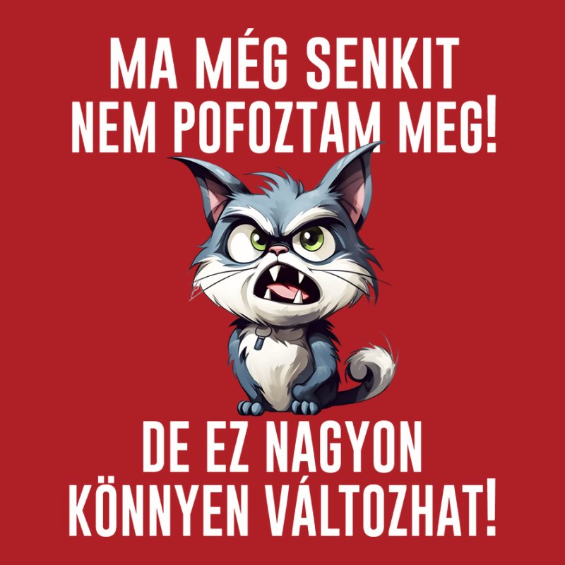 Ma Még Senkit Nem Pofoztam Meg MACSKA