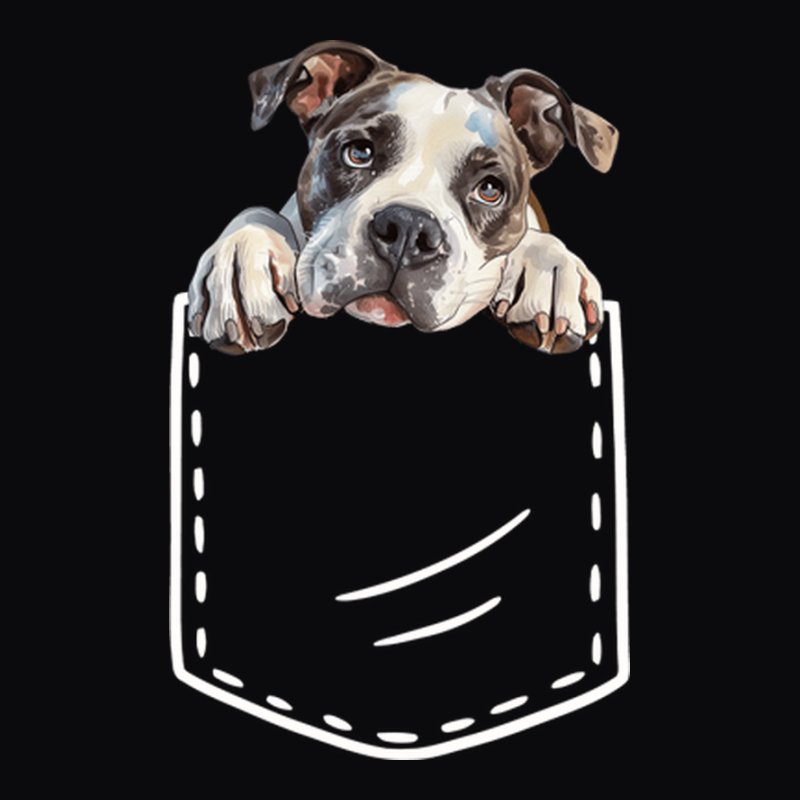 Amerikai Bulldog Zseb 2.0