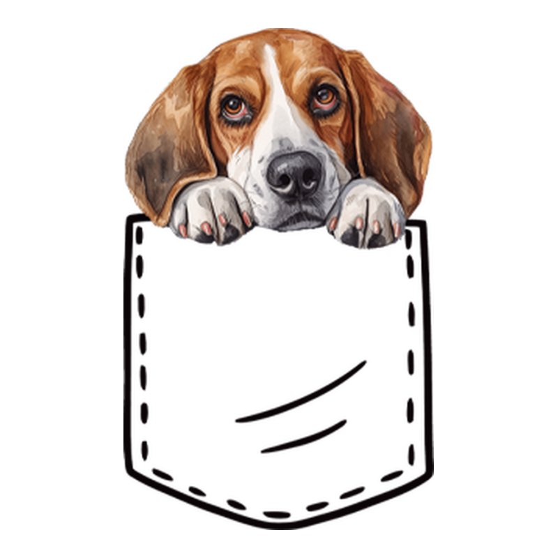 Beagle Zseb