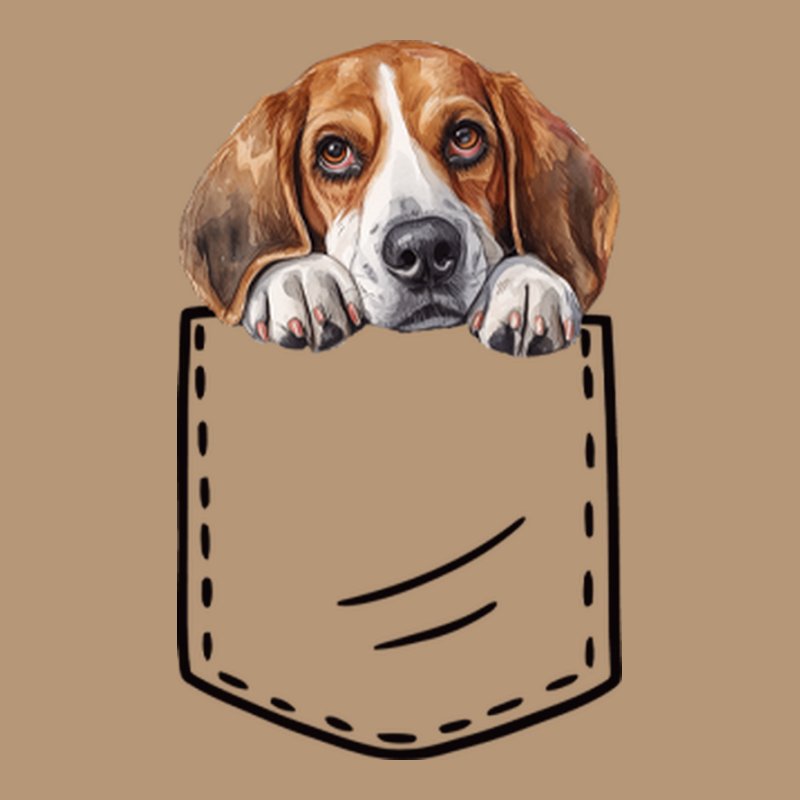 Beagle Zseb