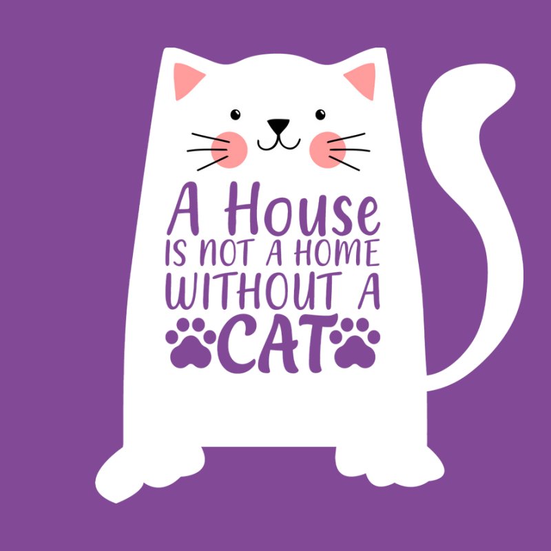 A House Is Not A Home Without A Cat